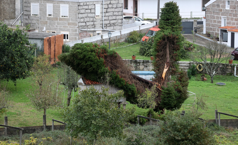 El tren de borrascas destroza tejados y fachadas y arranca árboles en Vilagarcía