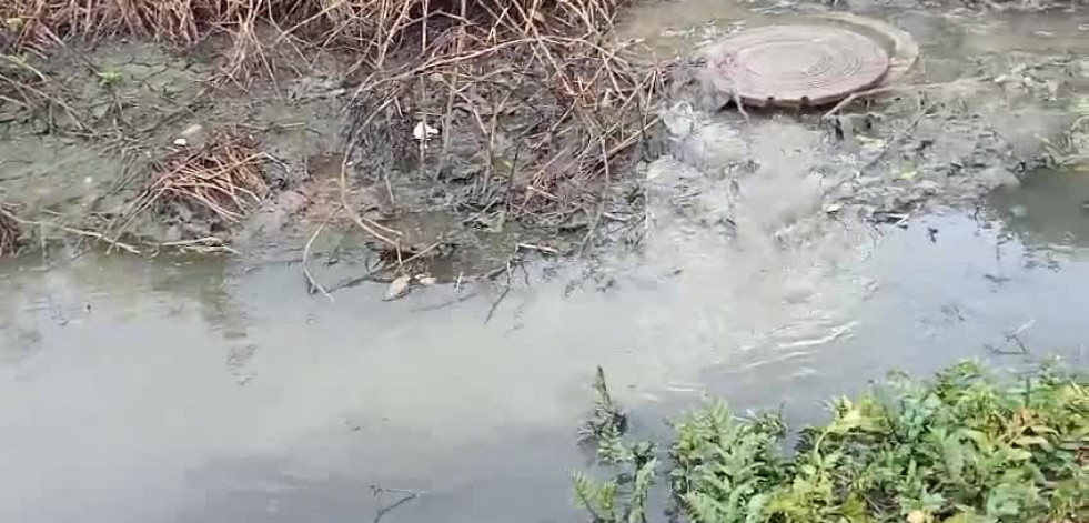 Denuncian un vertido de aguas fecales procedente de la red municipal en un regato que desemboca en el río de Artes, en Ribeira